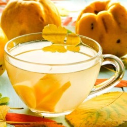 Cognassier du Japon Northern Lemon