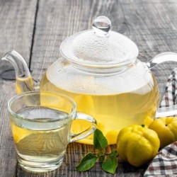Cognassier du Japon Northern Lemon