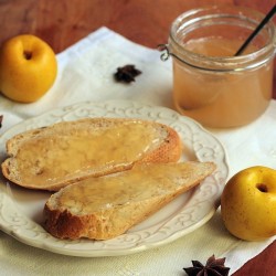 Cognassier du Japon Northern Lemon