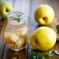 Cognassier du Japon Northern Lemon