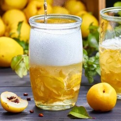 Cognassier du Japon Northern Lemon