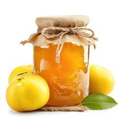 Cognassier du Japon Northern Lemon