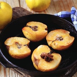 Cognassier du Japon Northern Lemon
